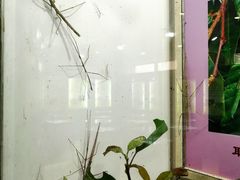 -上海昆虫博物馆