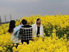 -三圣花乡旅游区