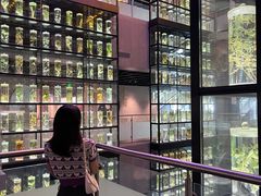 -广东中医药博物馆