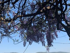 -尚湖风景区