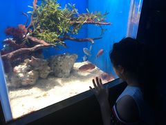 -烟台海昌鲸鲨海洋公园