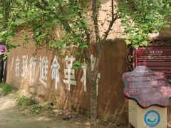 -微山湖红荷湿地景区