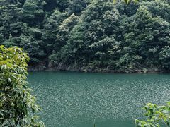 -广州市石门国家森林公园
