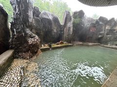 -潜山国家森林公园