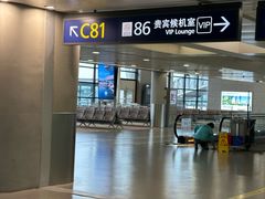 -上海浦东国际机场-T2航站楼