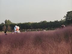 -汉长安城未央宫国家考古遗址公园