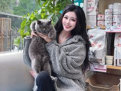 -美联众合爱康动物医院•复杂内科•肿瘤科•牙科•腔镜诊疗中心