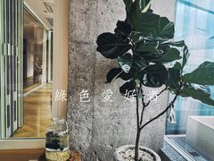 -COFFEEOLOGY咖啡学(天银店)