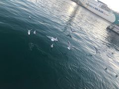 -哥伦布纪念碑