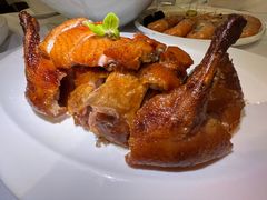 -圆苑(金茂店)