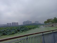 -月湖风景区