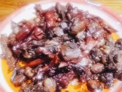 -柴窝堡22号辣子鸡·传承新疆菜