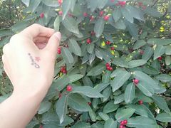 -波塞冬旅游度假区