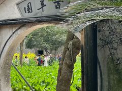 -绍兴鲁迅故里·沈园景区