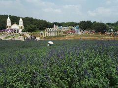 -松山湖梦幻百花洲