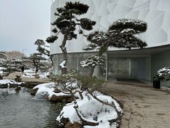 -罗红摄影艺术馆