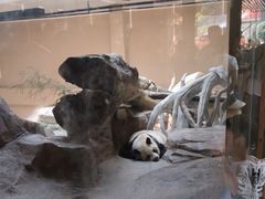 -宁波野生动物园