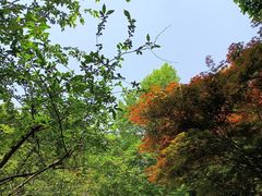 -北山街历史文化街区