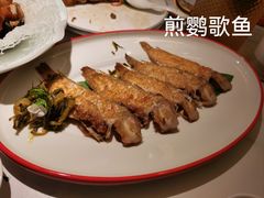 -码头见·潮汕菜(领展中心城店)