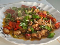 -煲来饱去冷水鱼