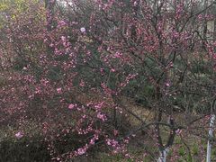 -森林公园(尖草坪区)
