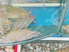 -渔中舟海鲜大排档(普陀沈家门店)