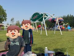 -黄海国家森林公园