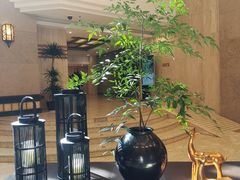 -天明山温泉大酒店