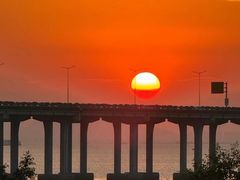 -宝安西湾红树林湿地公园