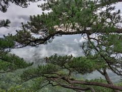 -罗田薄刀峰风景区