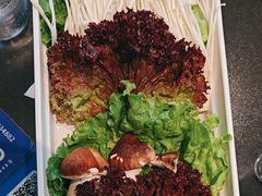 -南门四季铜锅涮肉(大屯·北苑店)