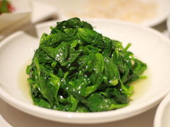 清炒豆苗-绿雅酒家(江西中路店)
