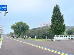 -羊山湖公园