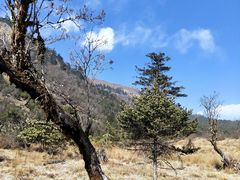 -硗碛藏寨·神木垒景区