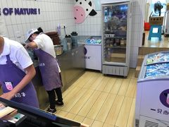 -一只酸奶牛(东方广场店)