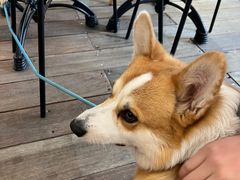 -肥朵食堂(带梦胡同店)