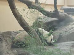 -宁波野生动物园