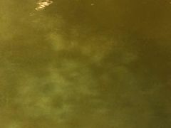 -会江钓鱼钓虾烧烤场