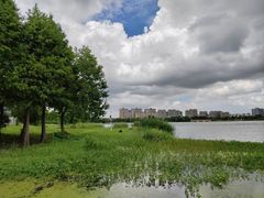 -西山漾湿地公园