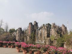 -秀丽东方