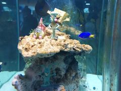 -太平洋海底世界