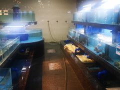 水产区-海棠湾聚鼎香海鲜坊(海昌梦幻不夜城店)