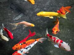 -天津海河悦榕庄·Lobby Lounge大堂吧