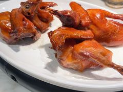 红烧乳鸽-陶陶居·雅园(凯华国际店)