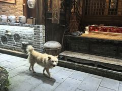 -青城甲(青城山店)