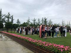 -洪湖家庭农场·团建·露营·会议