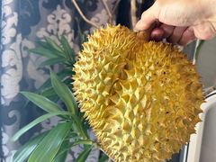 -物美大卖场(玉蜓桥店)