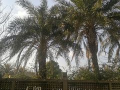 -苏州湾·王焰温泉