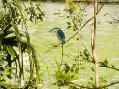 -苏州河梦清园环保主题公园