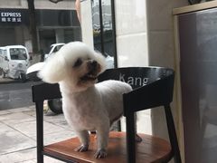 -芭比堂爱心动物医院(柯桥康爱分院)